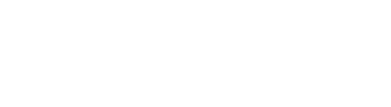 Logo Oficial da Ozzix
