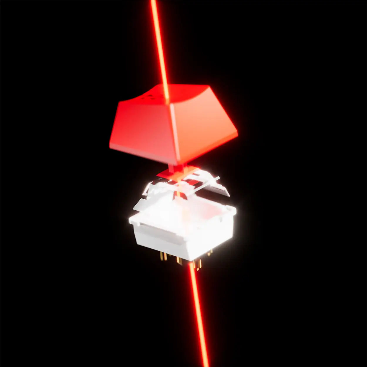 Courtesy Landing Page 9 teclado_courtesy (11)