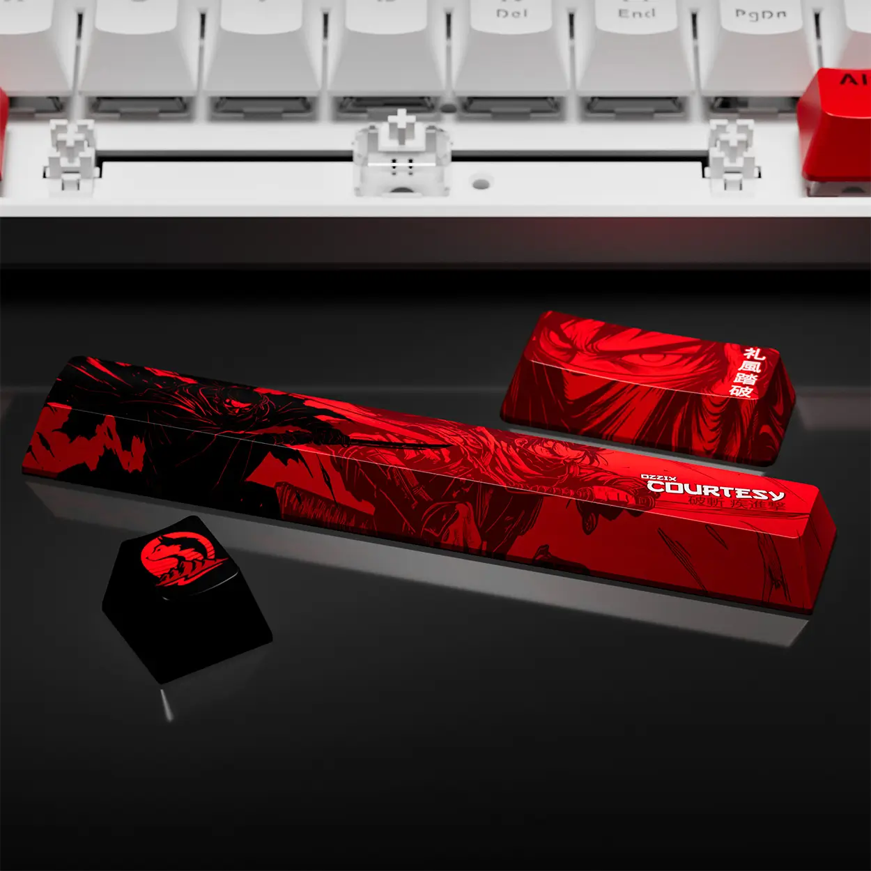 Courtesy Landing Page 15 teclado_courtesy (6)