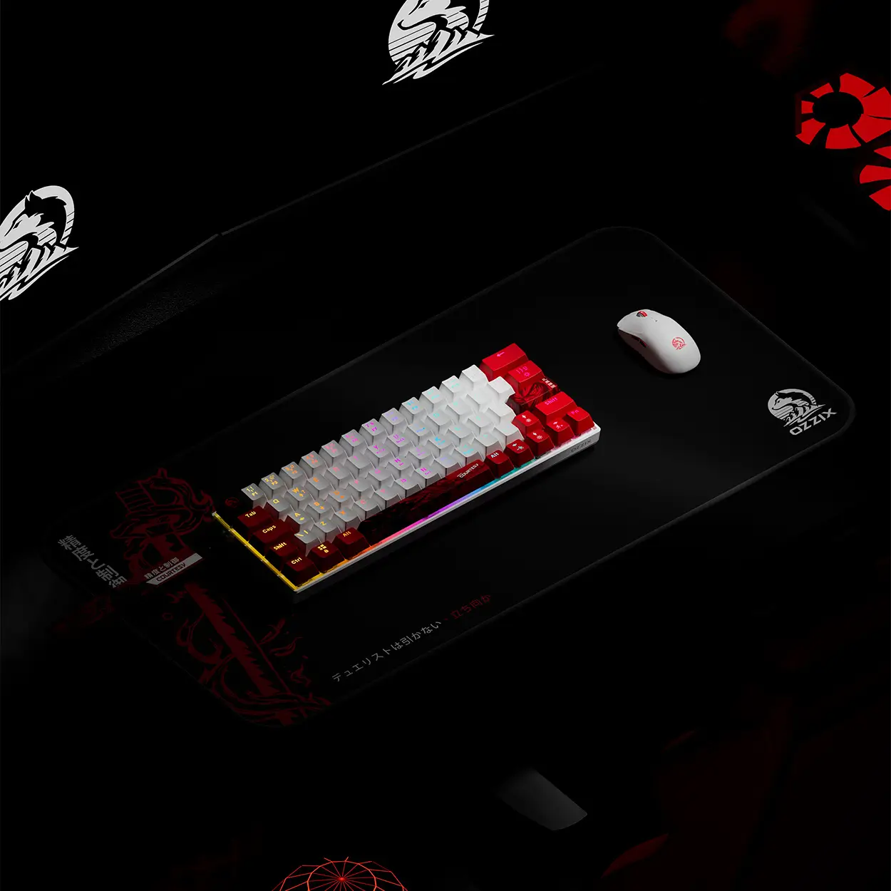 Courtesy Landing Page 13 teclado_courtesy (8)